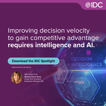 circuitry-ai-idc-FINAL